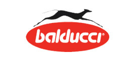 logo-balducci